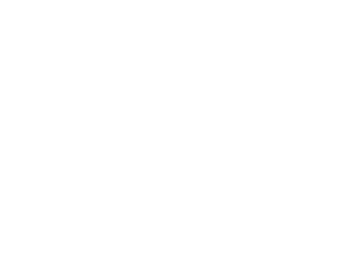 Cleveland Police Monitor
