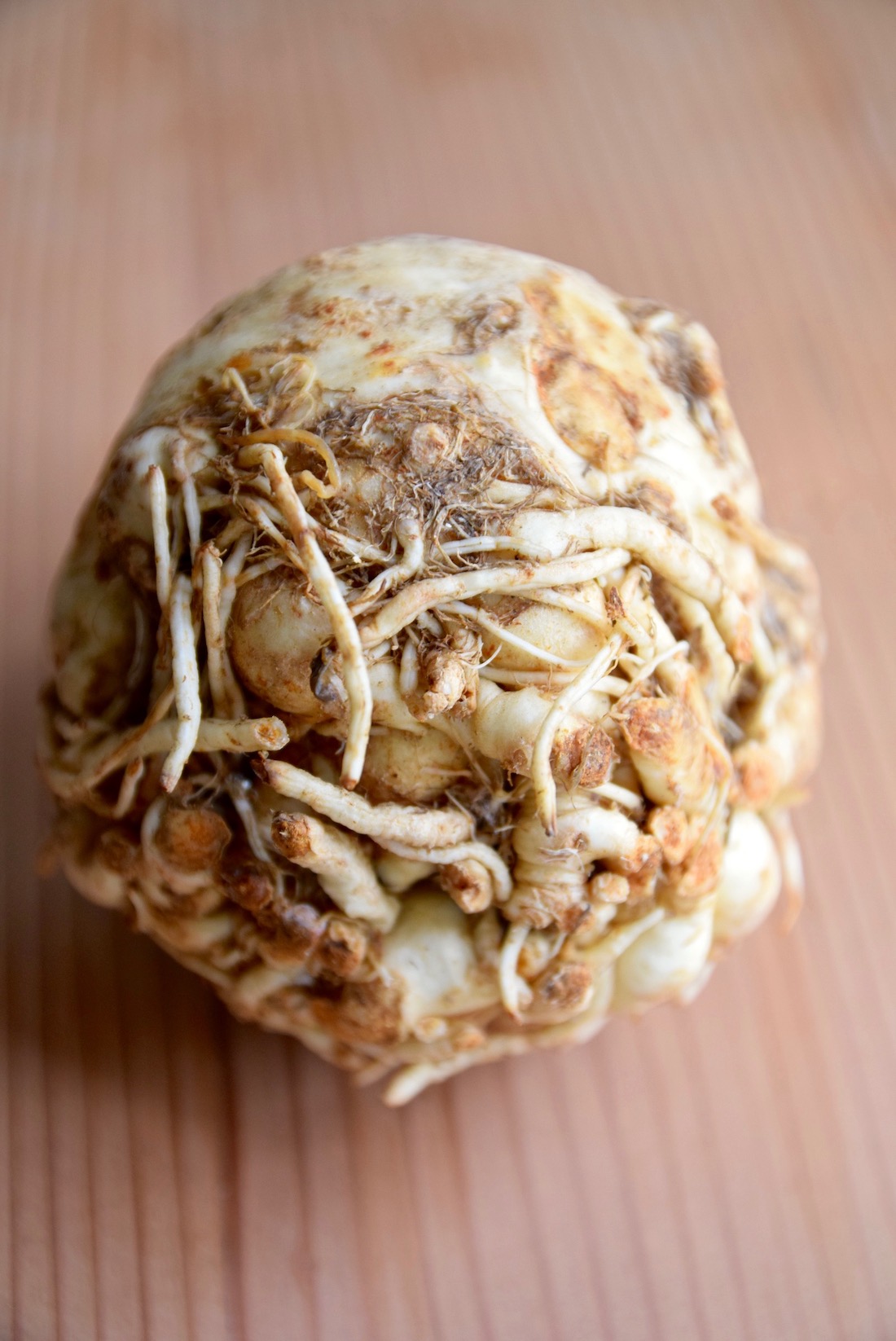Celeriac.jpg