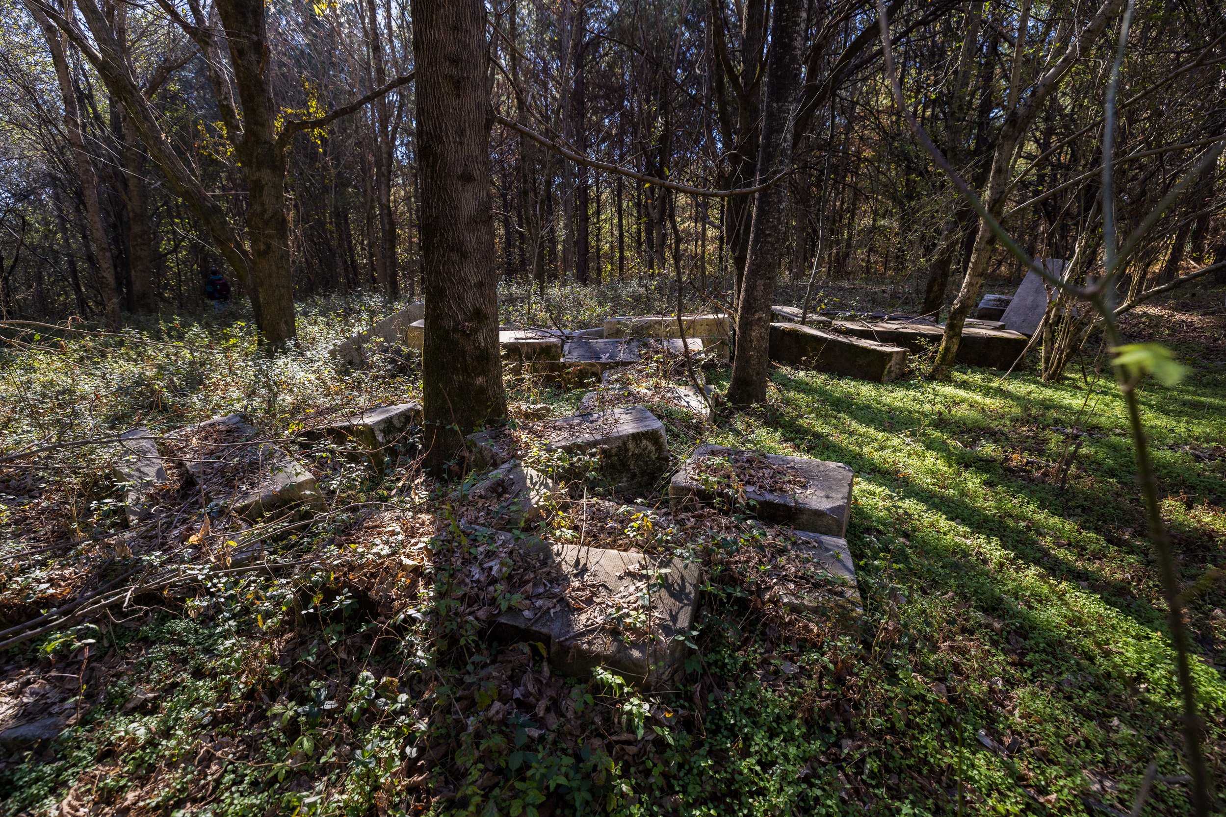 CR5_0456.jpg