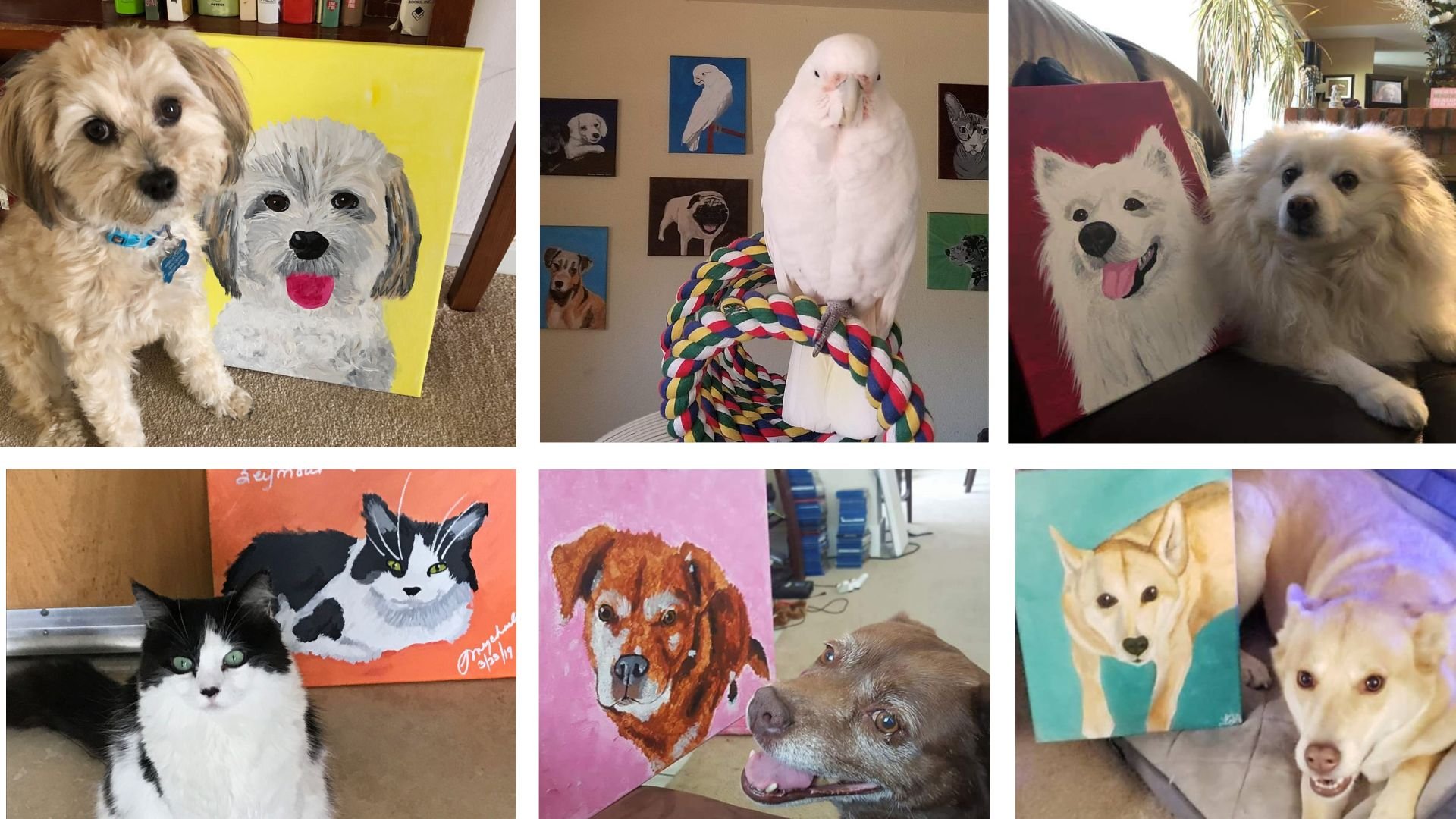 pyp-pet&paint (7).jpg