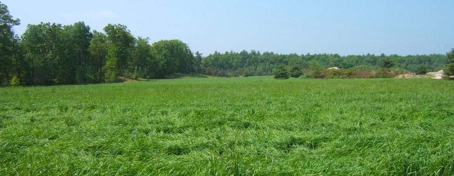 creating topsoils to restore land