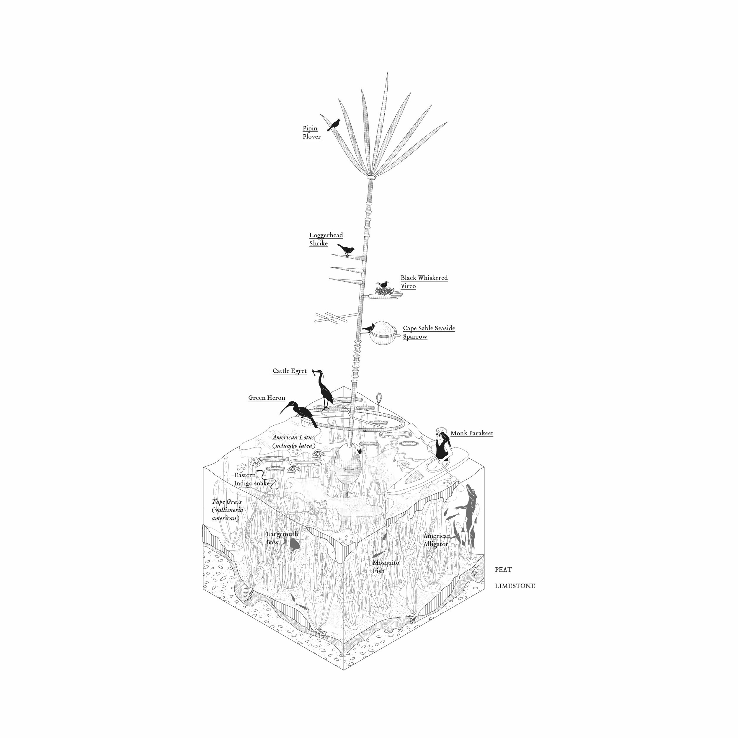 The Design of the Encounter14.jpg