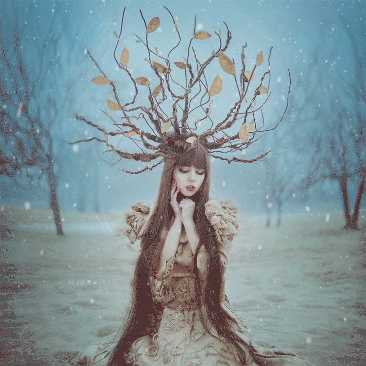 tree-cut2.gif