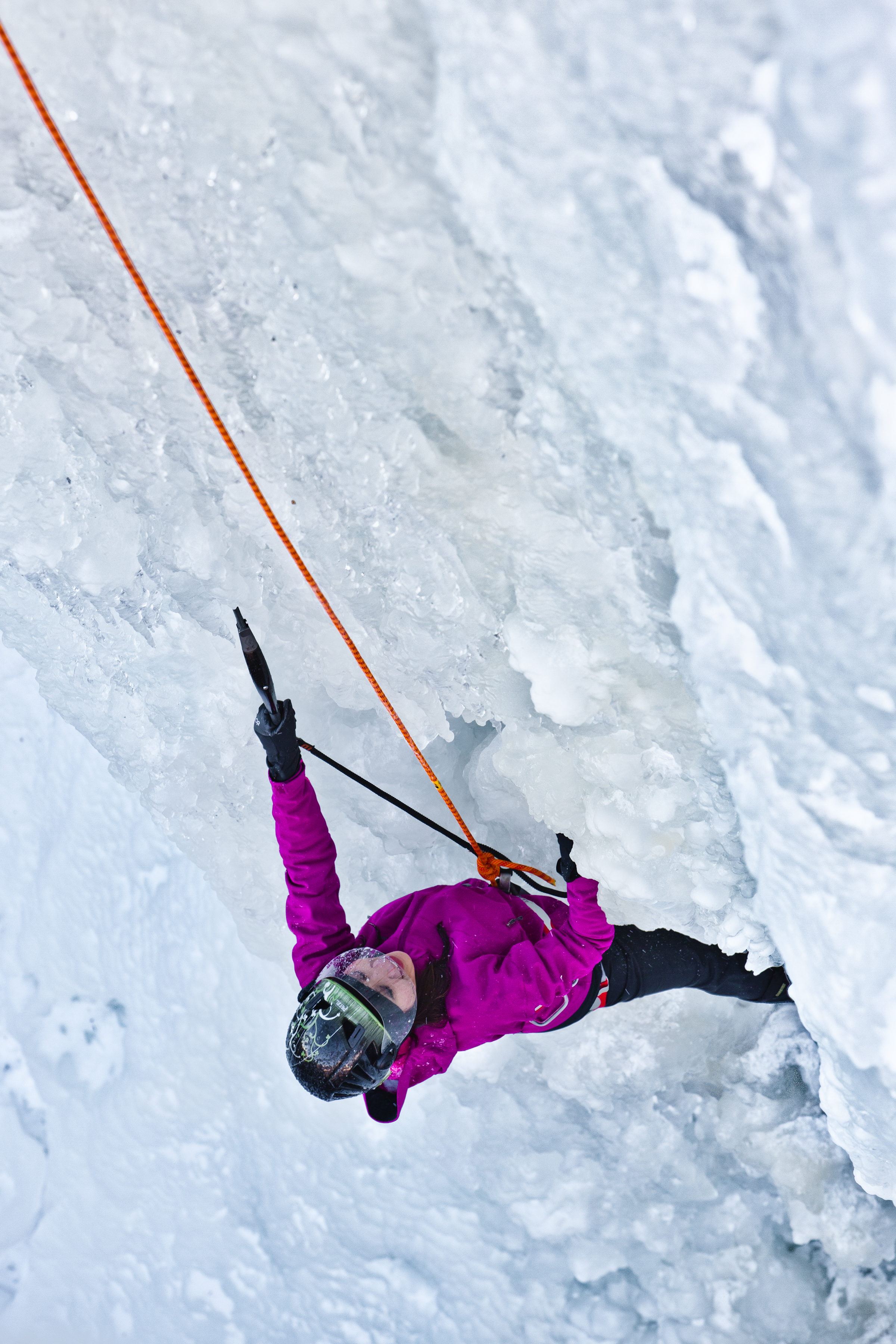 BIF_11_3251.jpg
