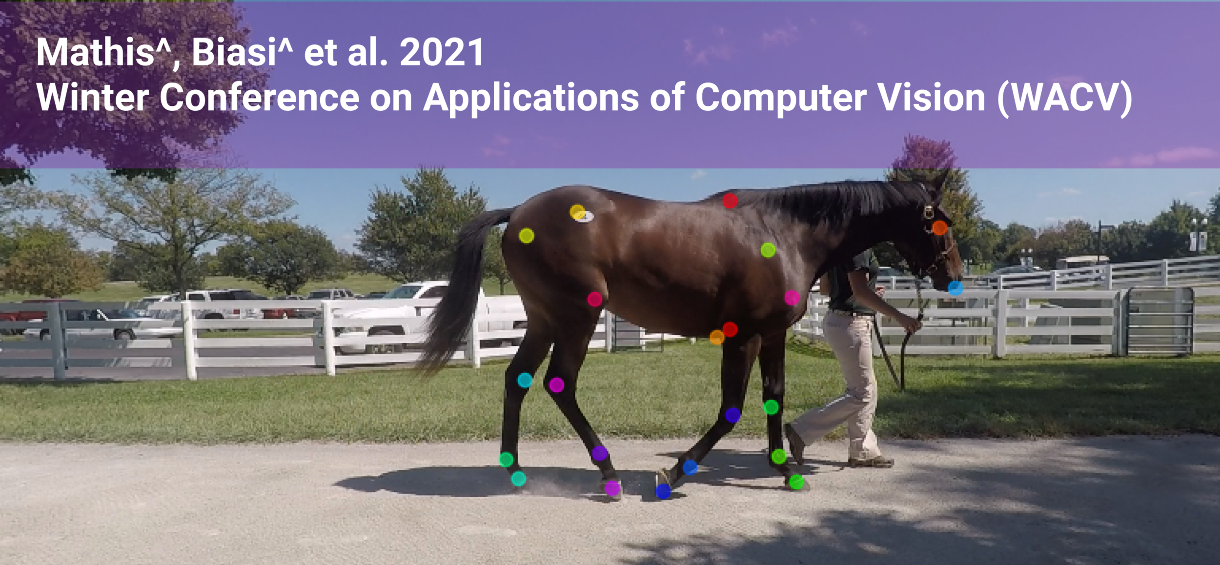 Alongside this paper, we introduce two new robustness benchmarks, see more at horse10.deeplabcut.org