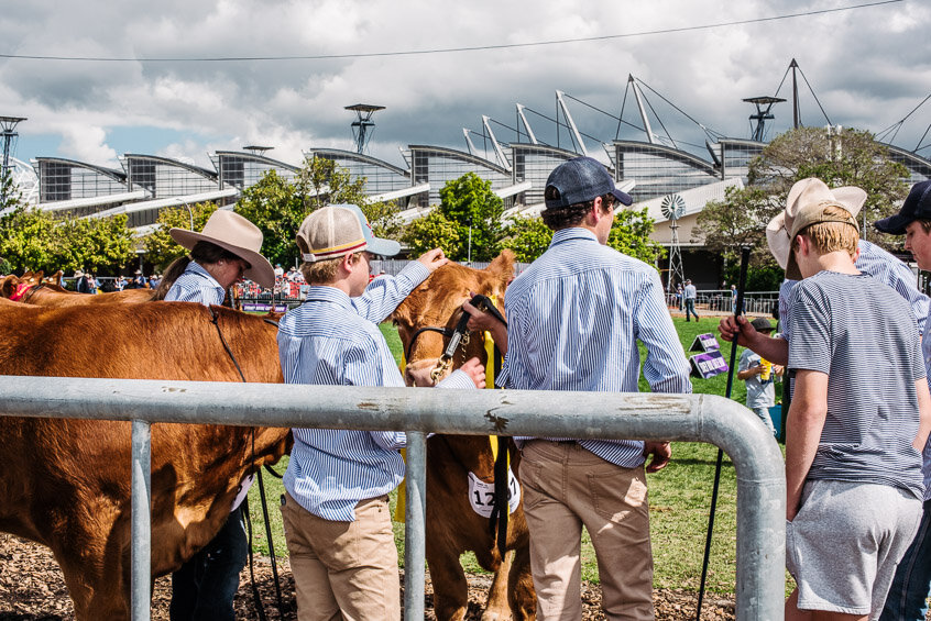 alanadimou-sydneyroyaleastershow-2021-06.jpg
