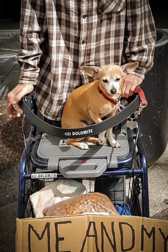 A man and his dog.