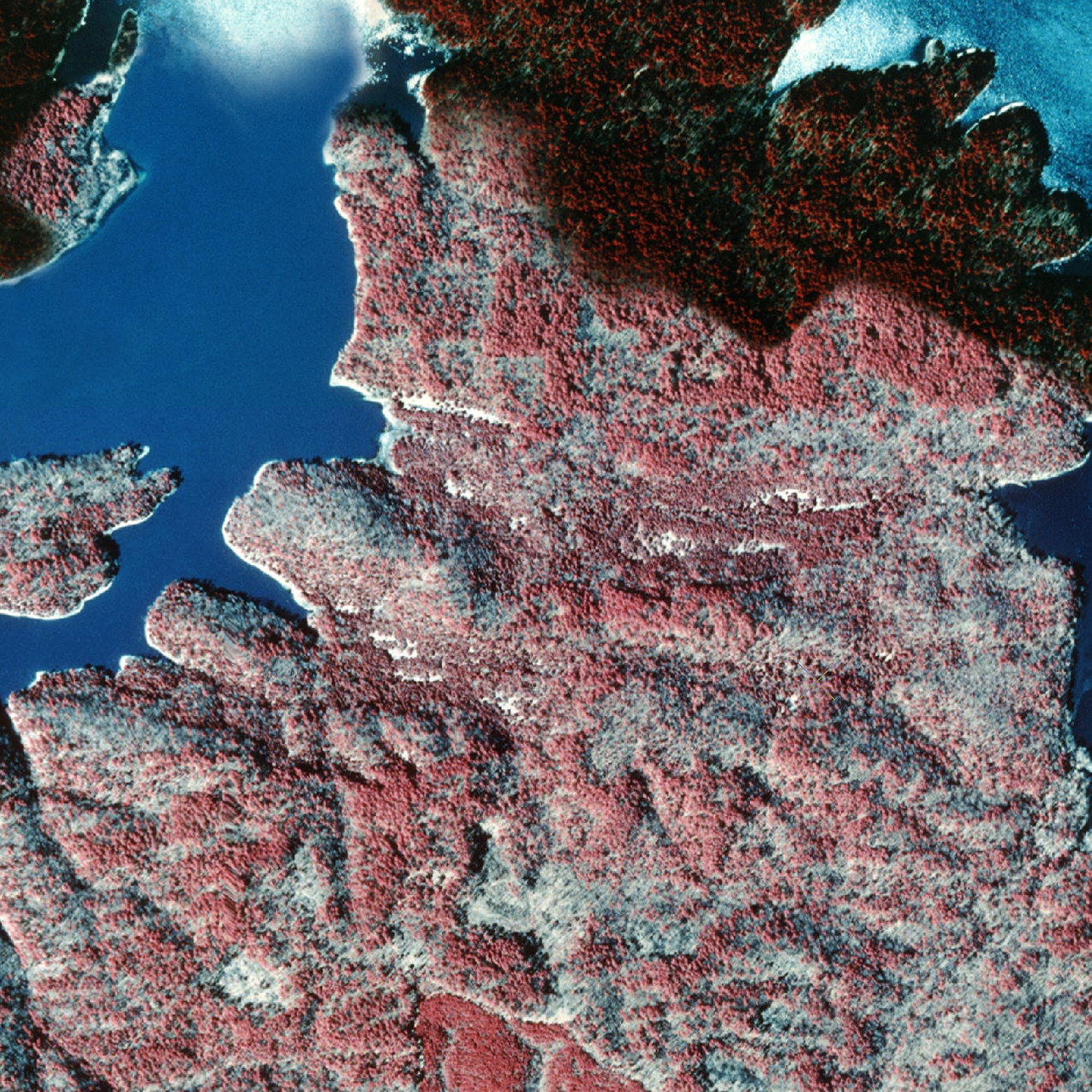 Infrared image showing location of Ouachita Mountains Shale Glades & Barrens (bright spots), Arkansas