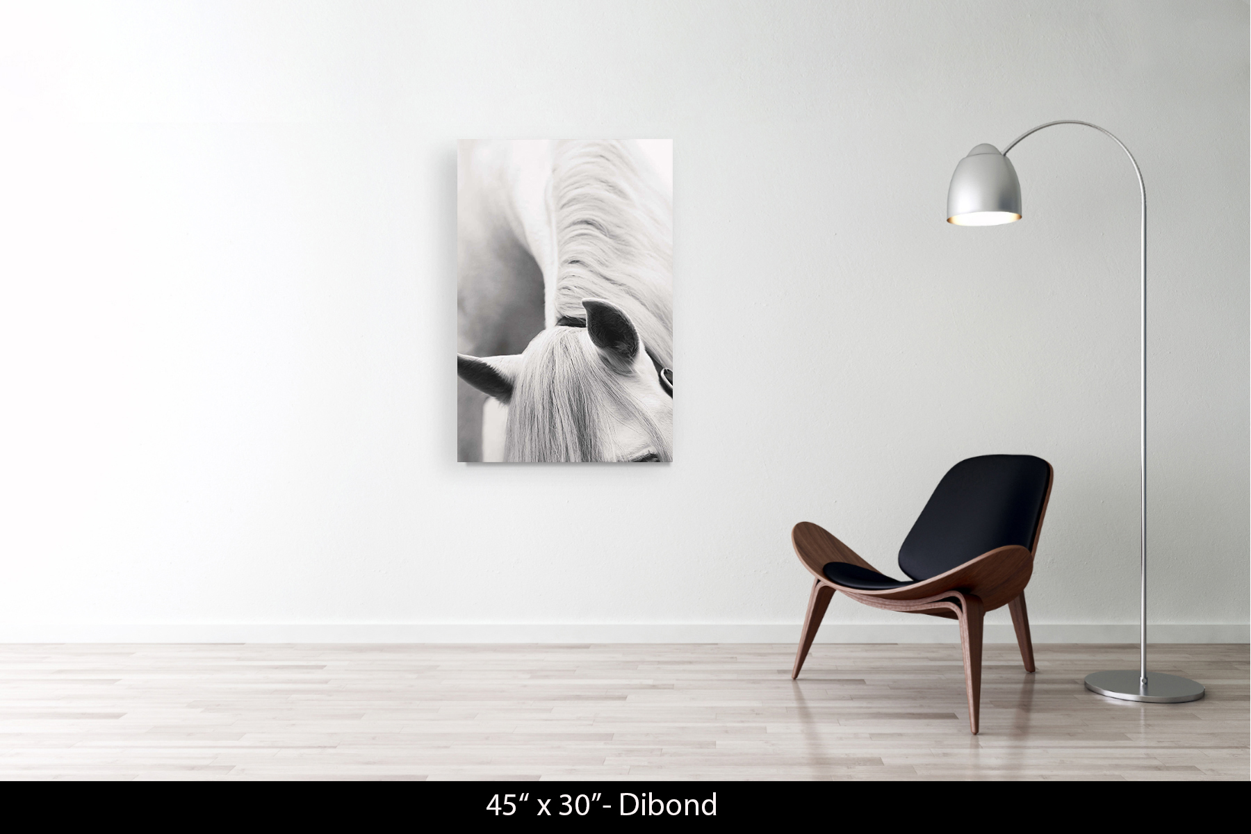 45"x30" | Dibond