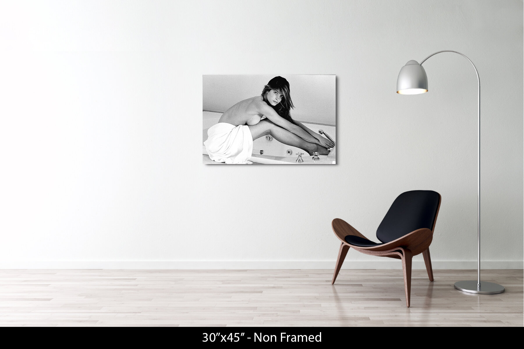 30"x45" | No Frame