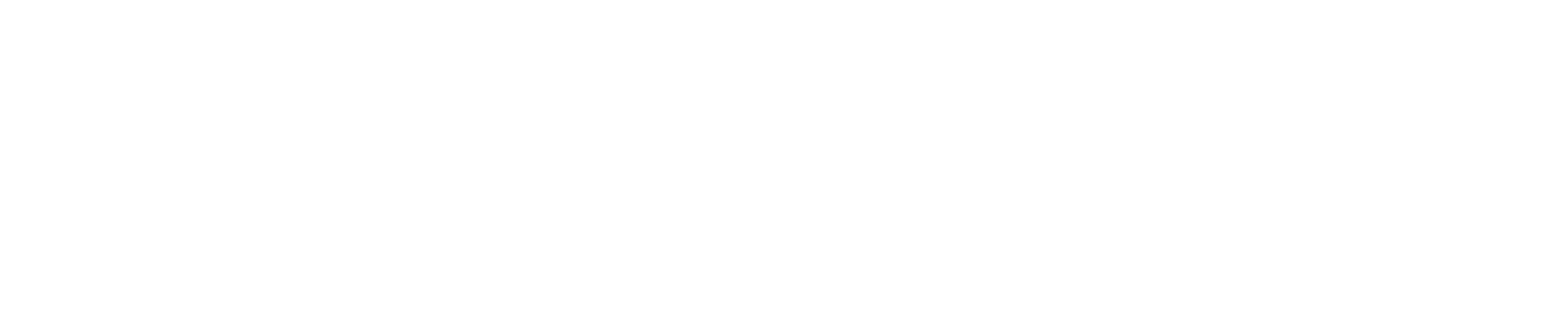 She the People
