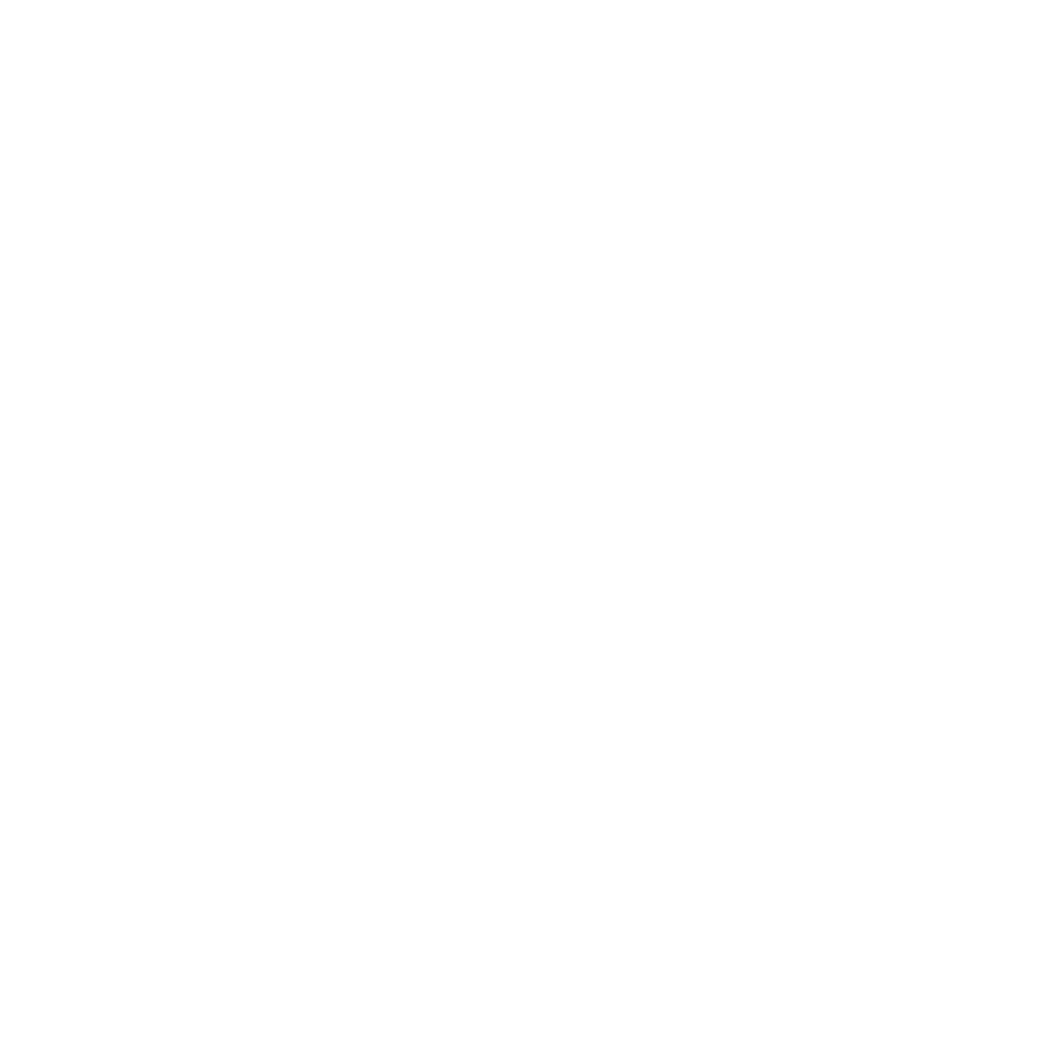NSF_Transparent_Logo.png