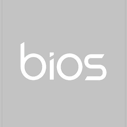 Bios.png