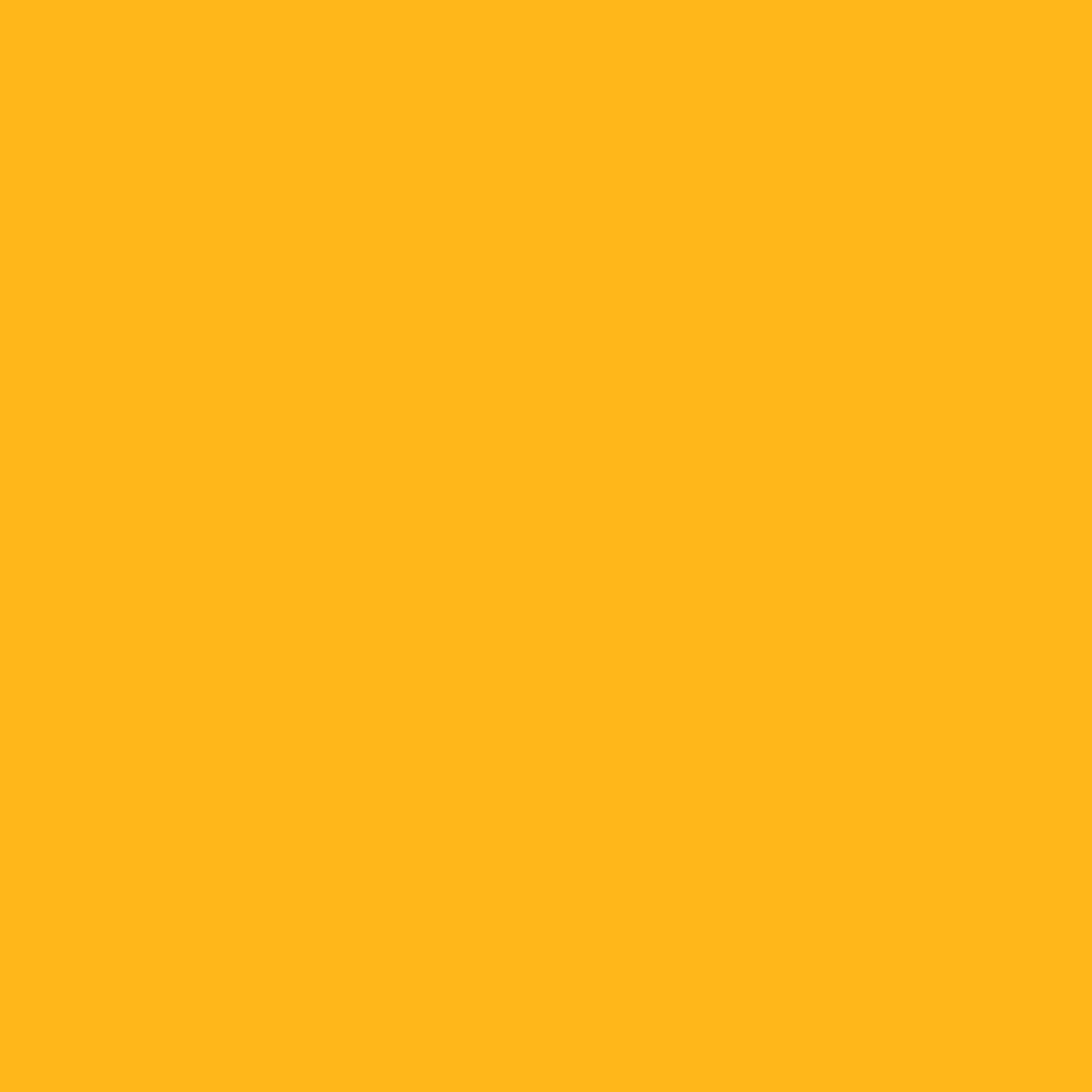 yellow-background.jpg