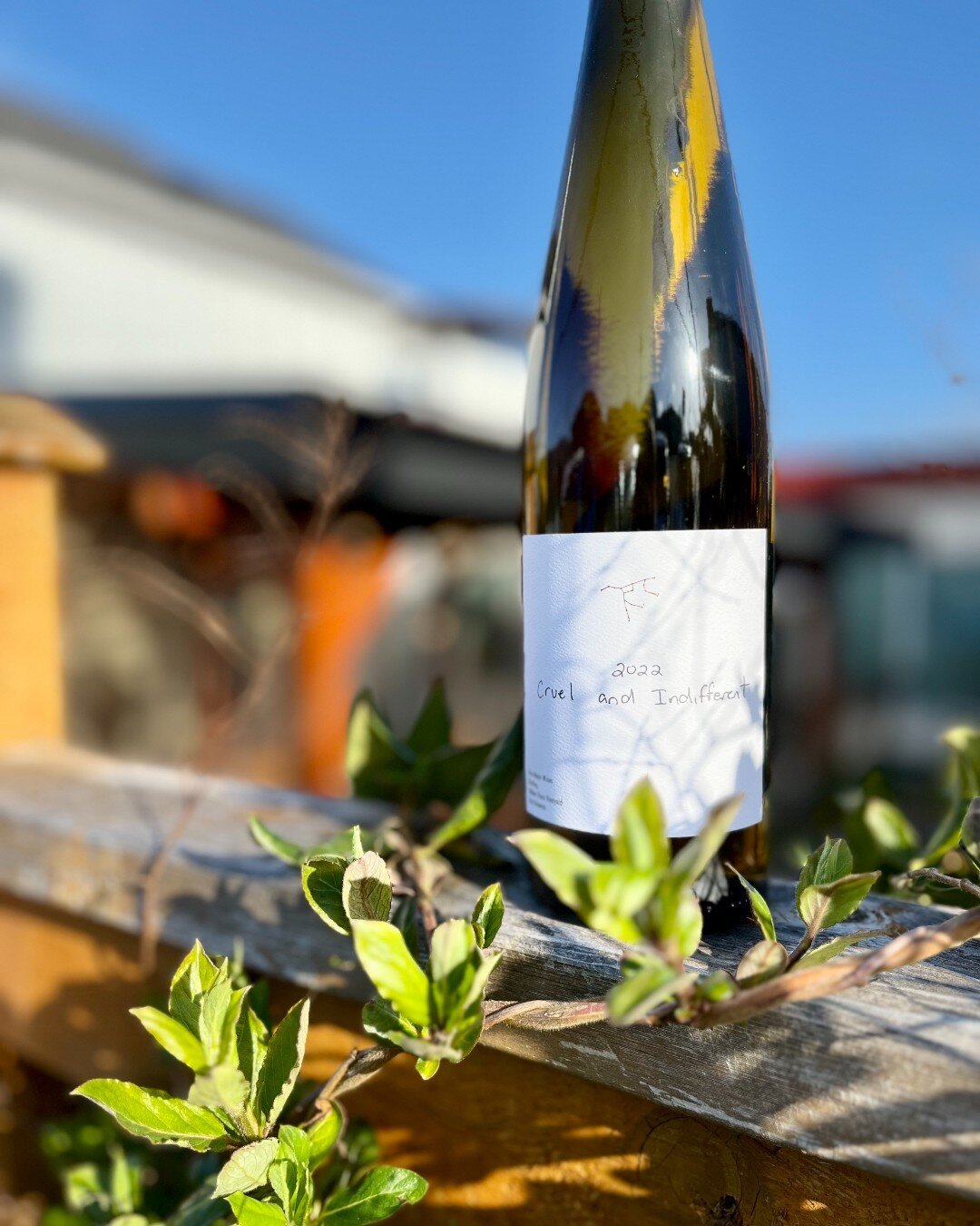 We were extremely fortunate to get our hands on a case of the 2022 &quot;Cruel and Indifferent&quot; Riesling from @ursamajorwinery, thanks to our friends over at @storiedwinesandspirits.

This stunning bottle of Riesling is grown on the glacial melt