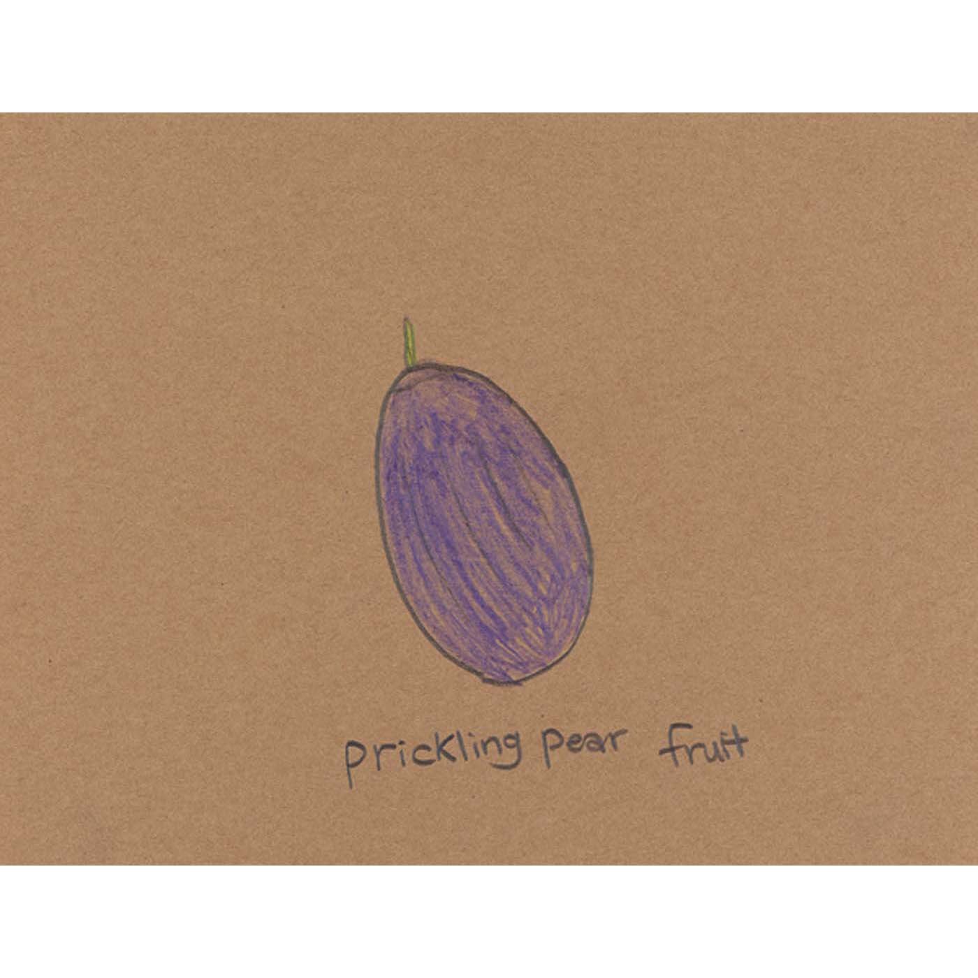 Prickling Pear Fruit by Josue Izquierdo