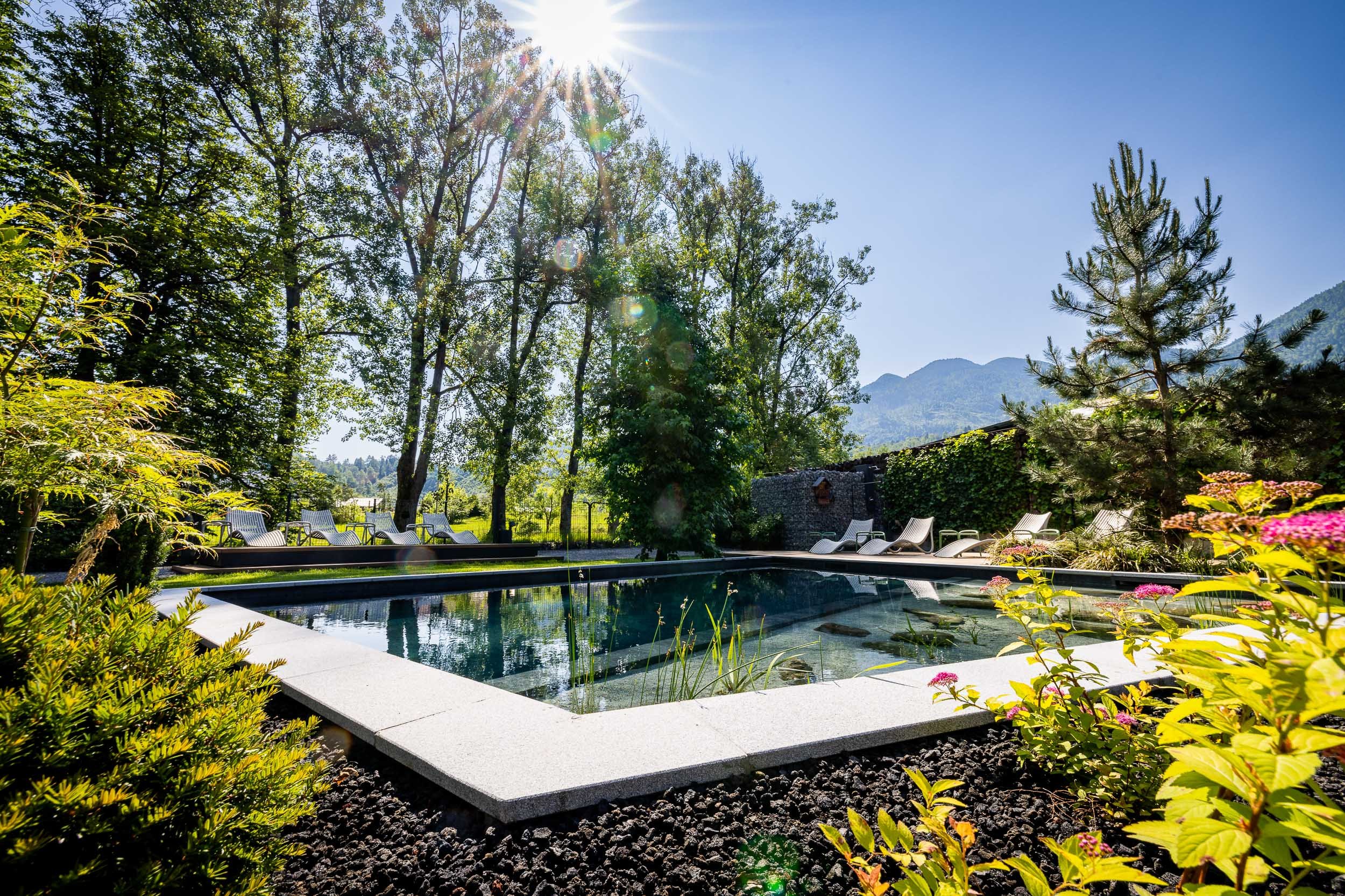 sunrose-7-biodynamic-pool-1.jpg