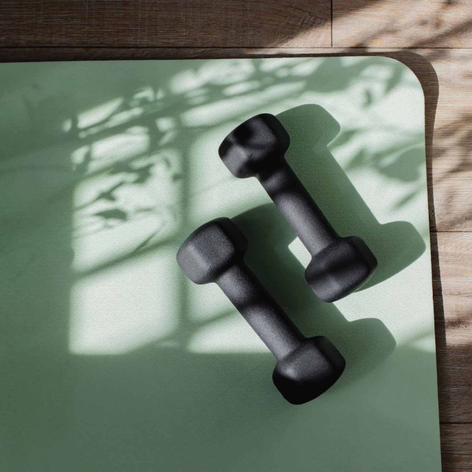 Fight into Fitness