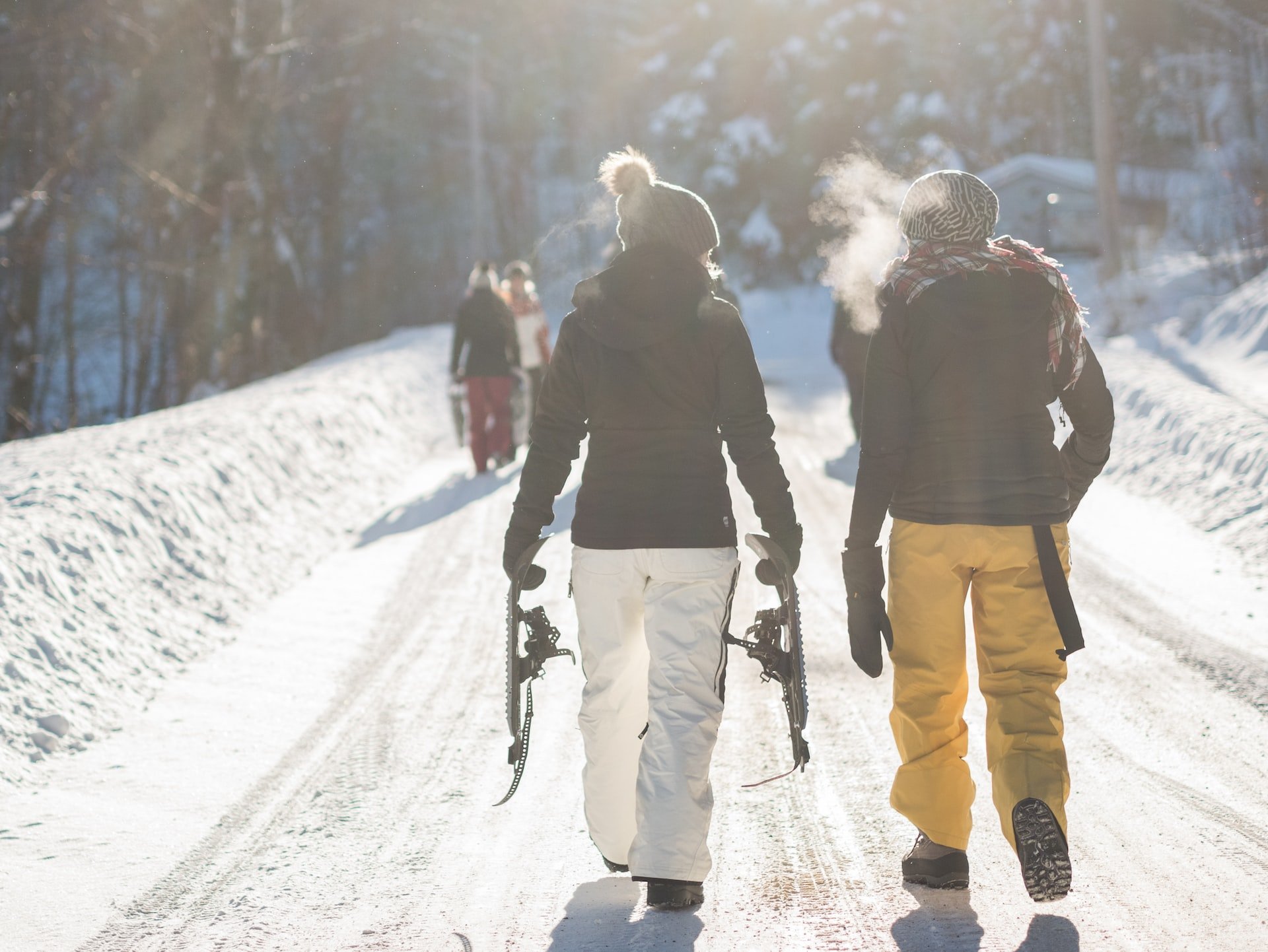 Alpinskader: en kort innledning