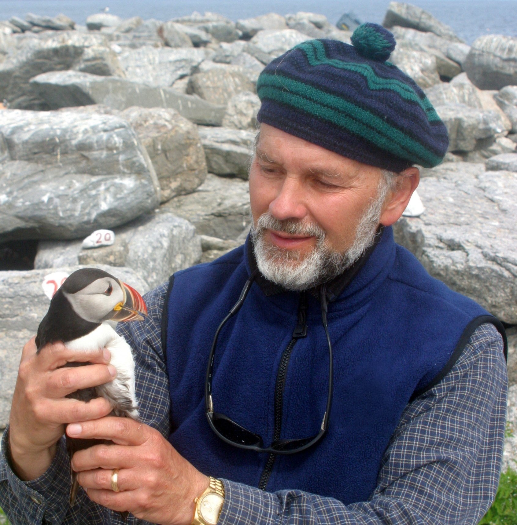 Stephen Kress, Ph.D, ornithologist, founder of Project Puffin, and co-author of Project Puffin and The Puffin Plan (photo by Bill Scholtz)