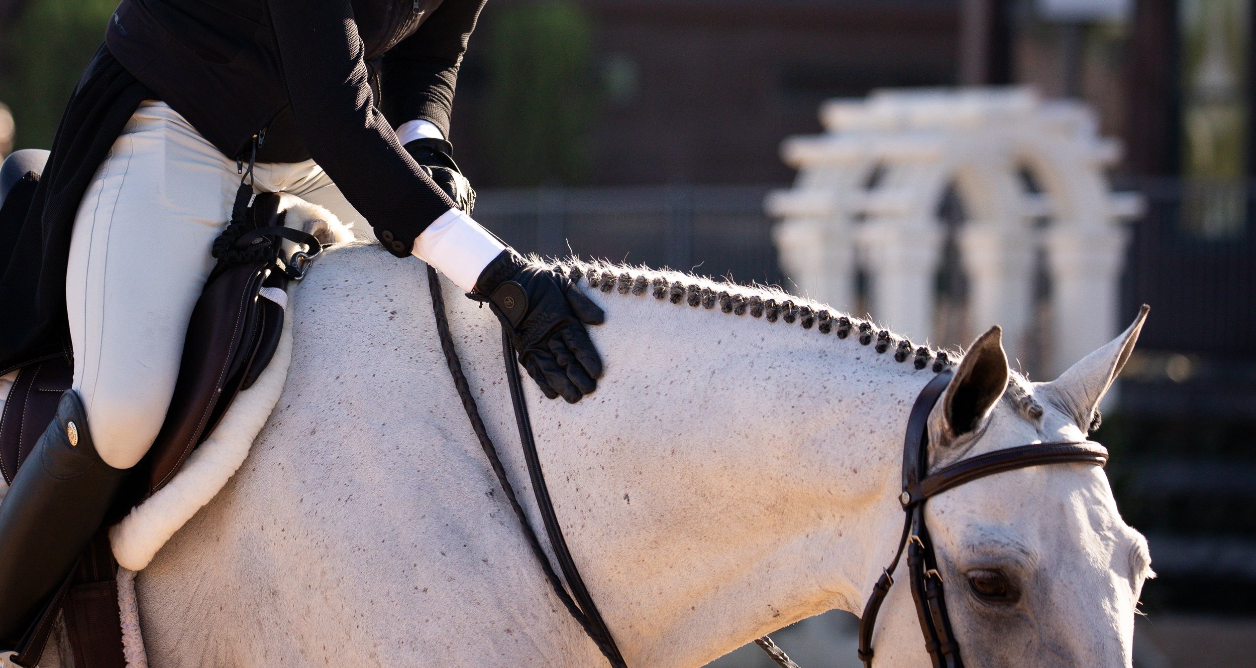 Tryon Summer 2 (Regional/Level 3)