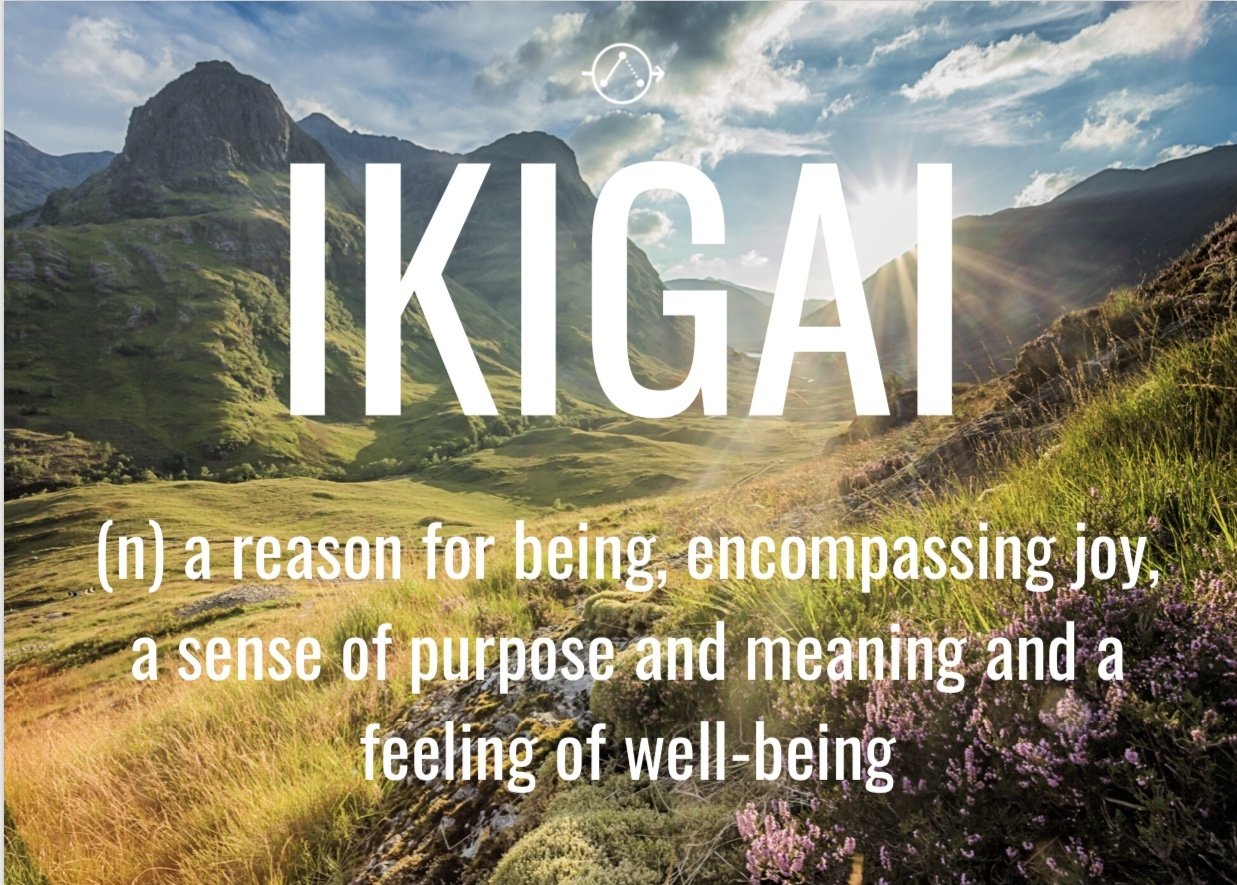 Ikigai 2023