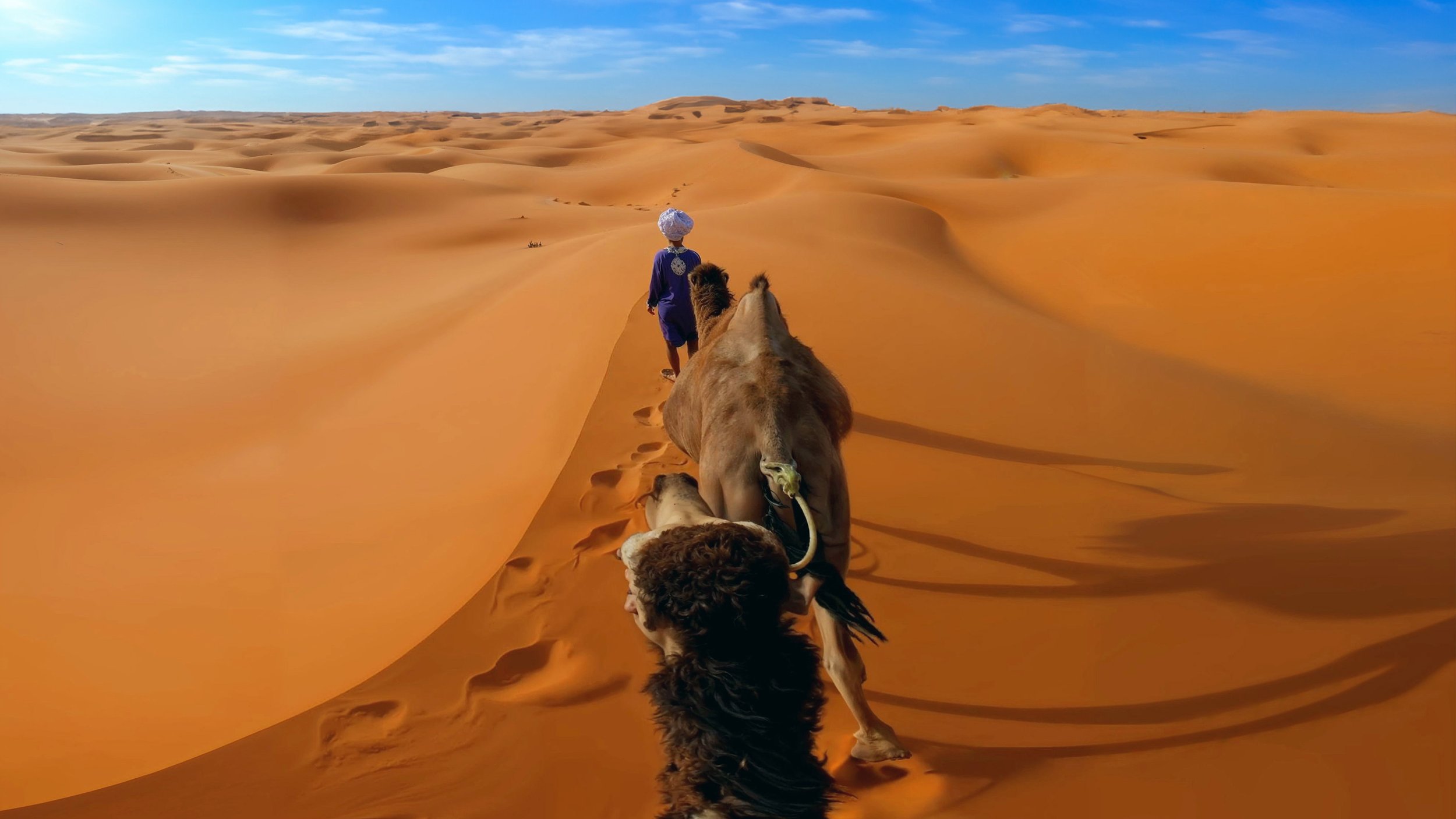 Desert Camel Trek.jpeg