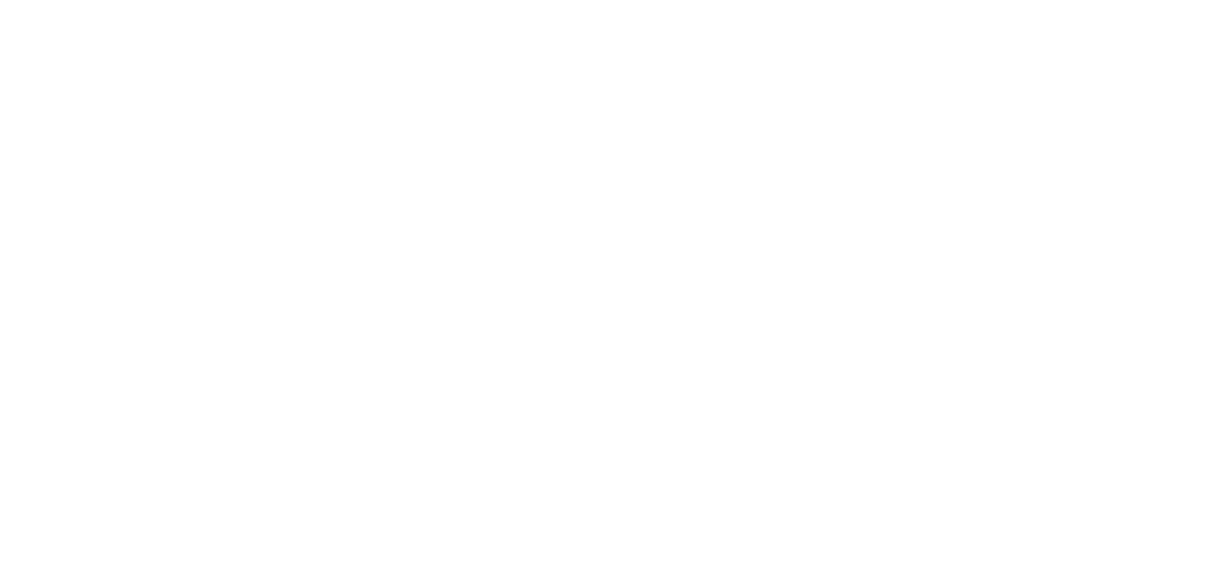 NASPP_Logo_White_on_Transparent_Ba.png
